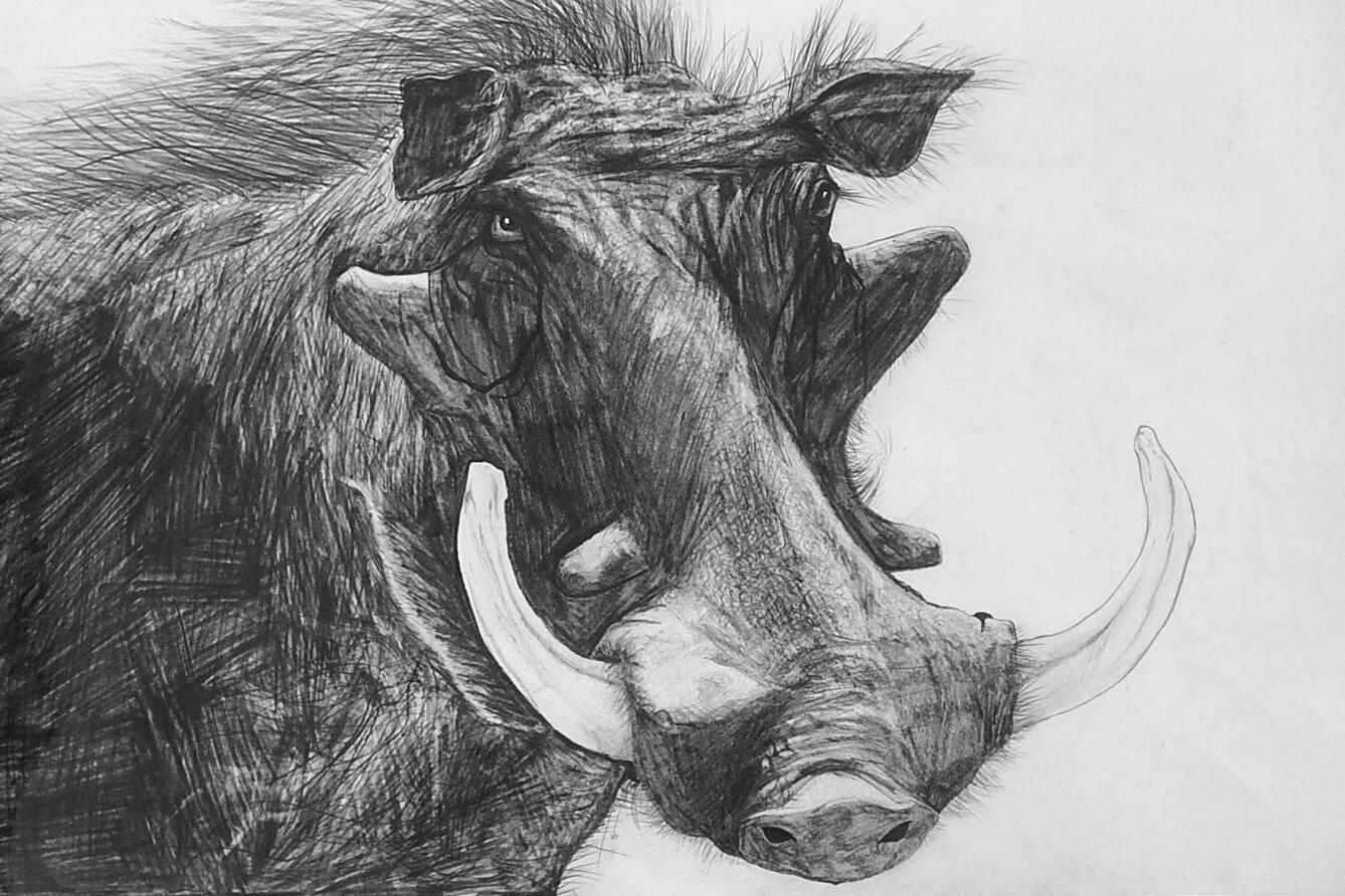 Warthog