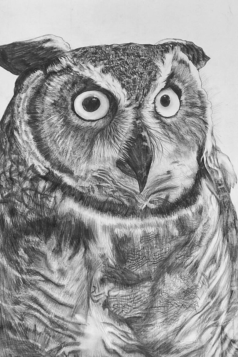 Spotted Eagle-Owl